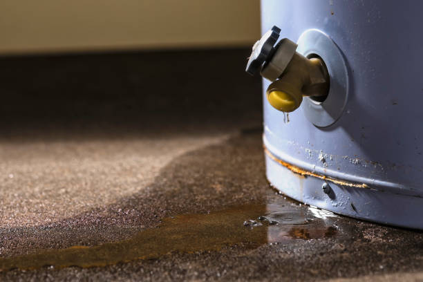 Best 24-hour water damage restoration  in Nelsonville, OH