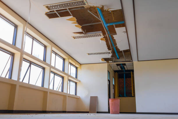 Best Water damage restoration cost  in Nelsonville, OH