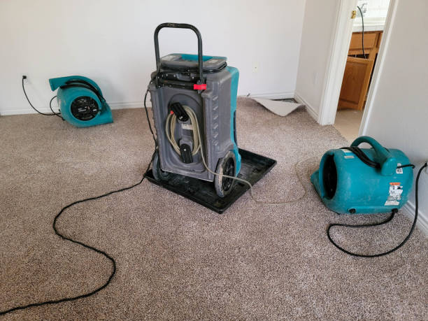 Best Water damage restoration experts  in Nelsonville, OH