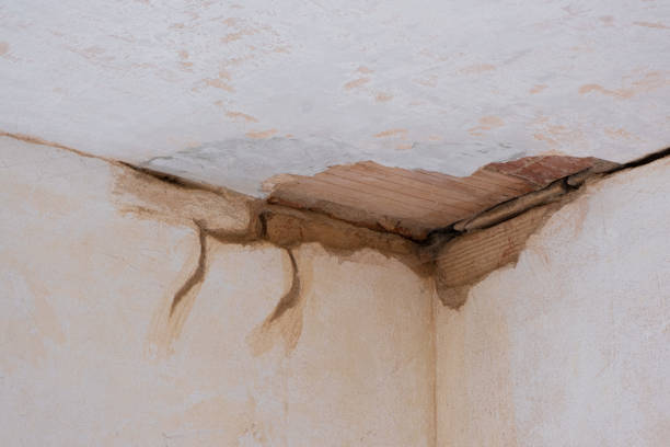 Water damage restoration experts in OH