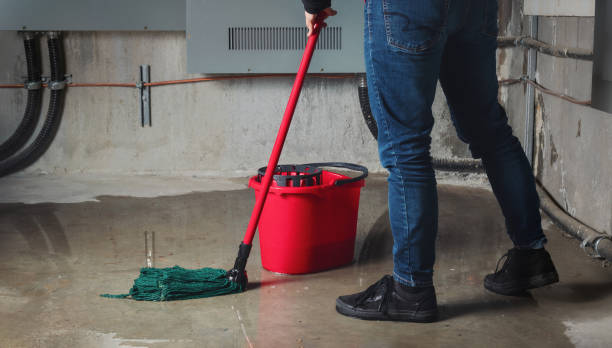 Best Mold removal after water damage  in Nelsonville, OH