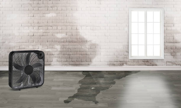 Best Residential water damage restoration  in Nelsonville, OH