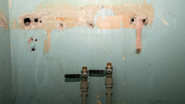 Best Professional water damage repair  in Nelsonville, OH