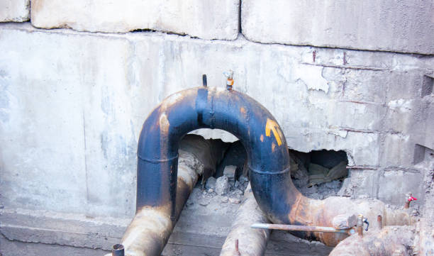 Best Water damage restoration mold remediation  in Nelsonville, OH