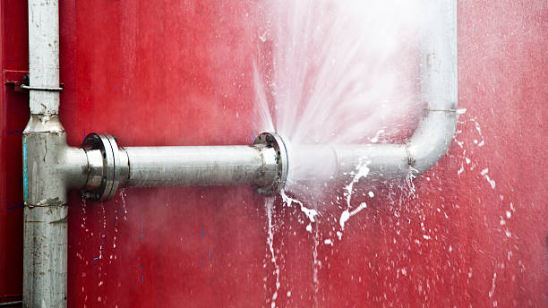 Best Water damage restoration near me  in Nelsonville, OH