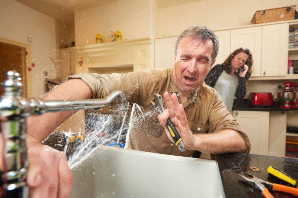 Best Water damage contractors near me  in Nelsonville, OH